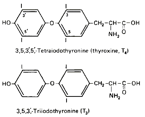 What is T3 uptake?