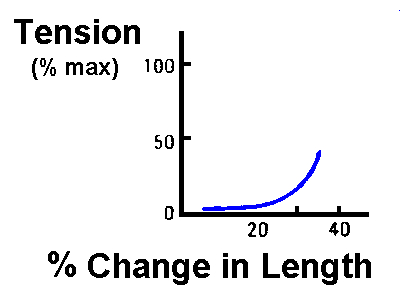 Diagram of resting muscle tension vs length: tension increases exponentially