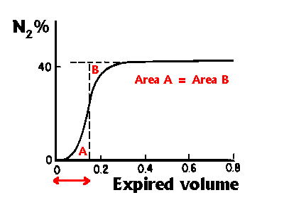 Picture of
        lung volumes