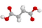 succinic acid molecule