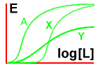 Graph of effect
of different antagonists