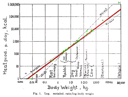 log plot